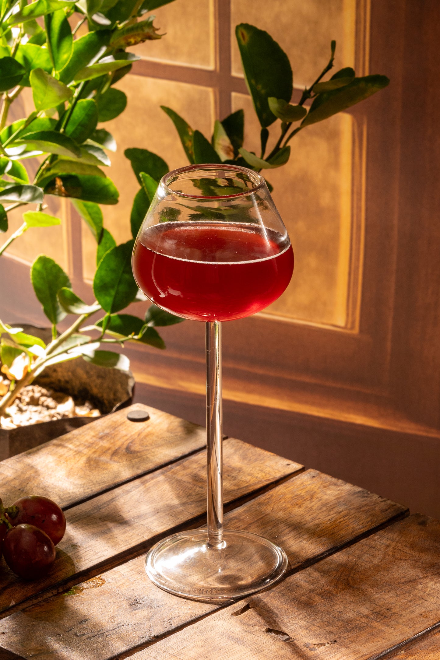 Hunar Chisel Cocktail Glass